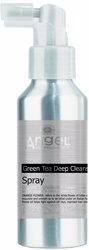 Haircare - Styling Products - Angel En Provence - Green Tea Cleansing Anti Dandruff Spray