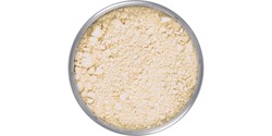 TRANSLUCENT POWDER TL 4